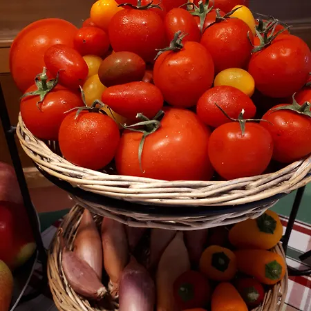 Gæstehus Zum Rassen 3*